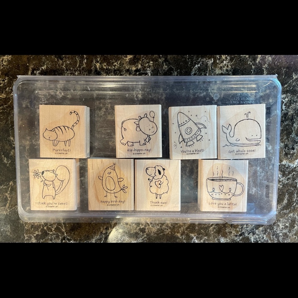 Stampin Up retired set Pun Fun